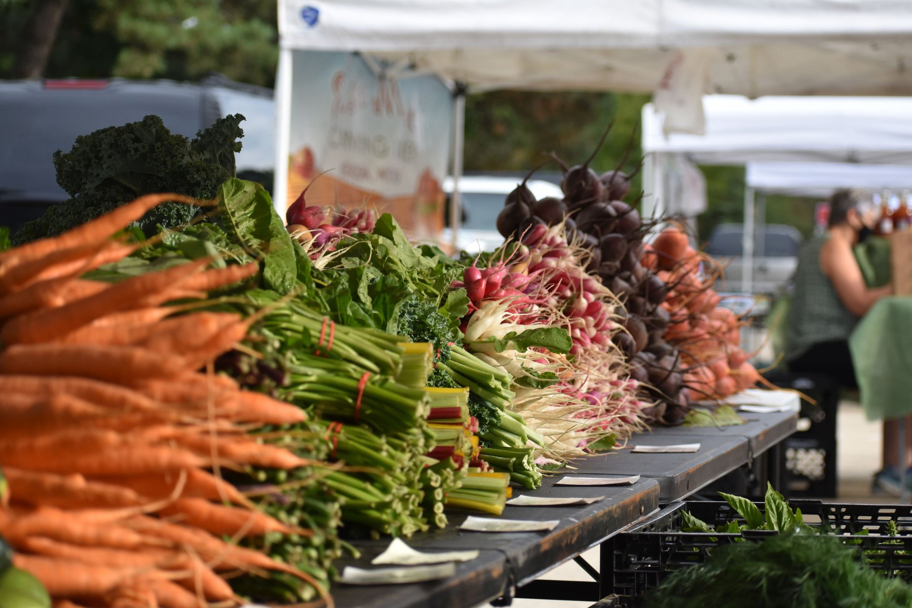 Find Local Food Grow Lake County
