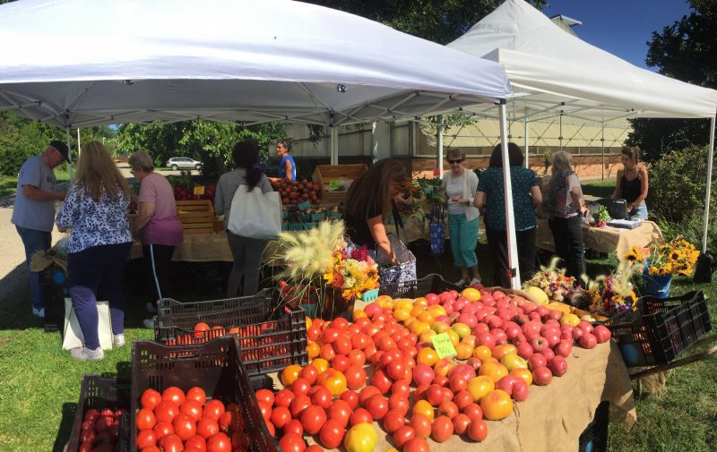 College of Lake County Farm Stand